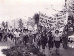 Amas de casa de Villa Diamante, Lanusazo, 1982